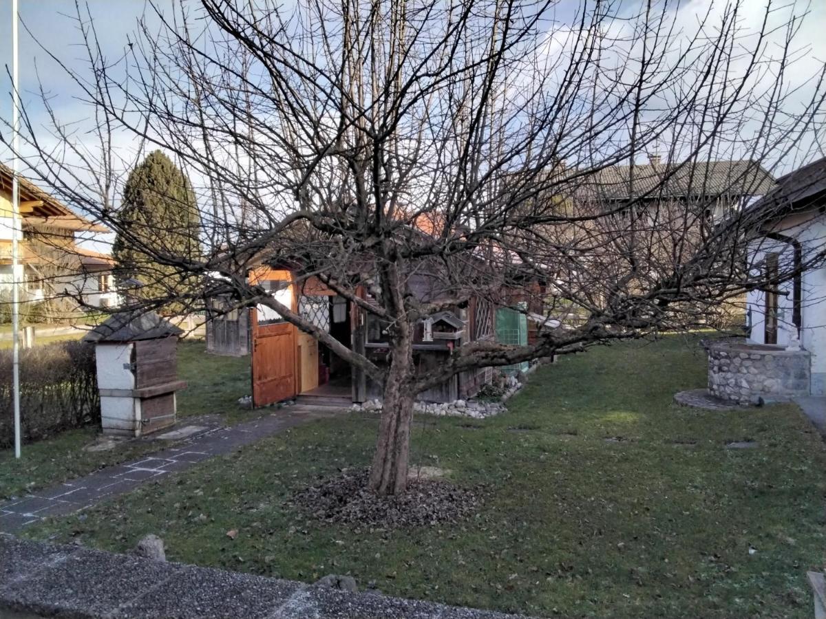 Ferienwohnung Maxl Fischbachau Kültér fotó